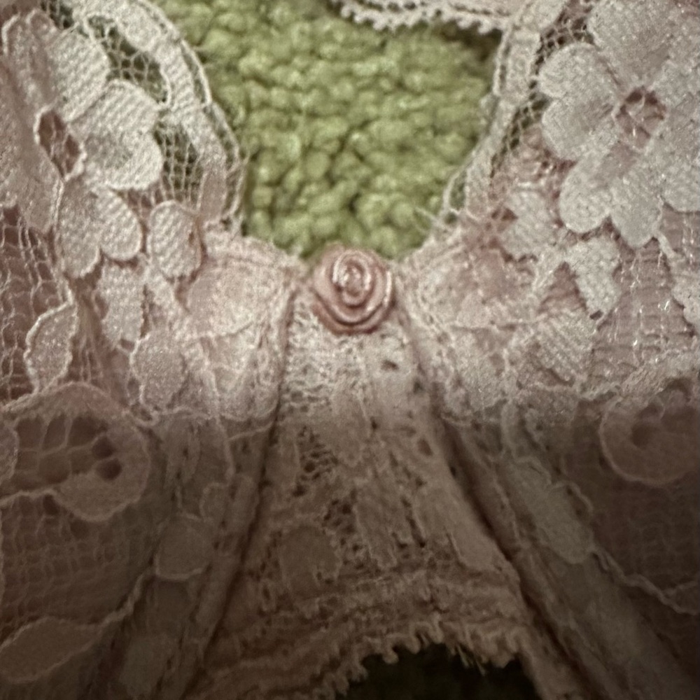 Victoria’s Secret Pink Shine Strap Lace Bra - Picture 5 of 8
